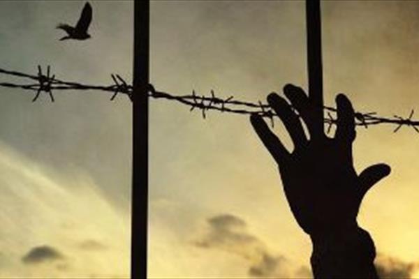 Regarding the wonders of after captivity! Regarding the wonders of after captivity!