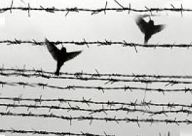 Two strange letters!