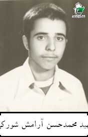 آرامش شوركي، محمدحسين